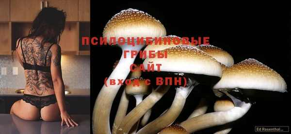 тгк Киренск