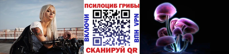 Купить закладки  Всеволожск  Псилоцибиновые грибы мухоморы 